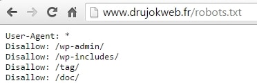 robots.txt