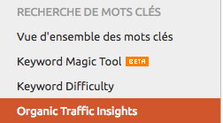 apercu trafic organique semrush